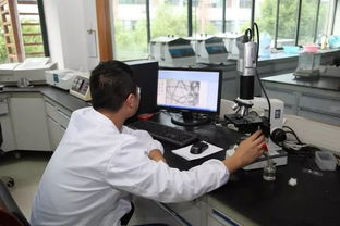 义乌开展衬衫生产企业质量分析测试专项活动，技术服务助力产业升级